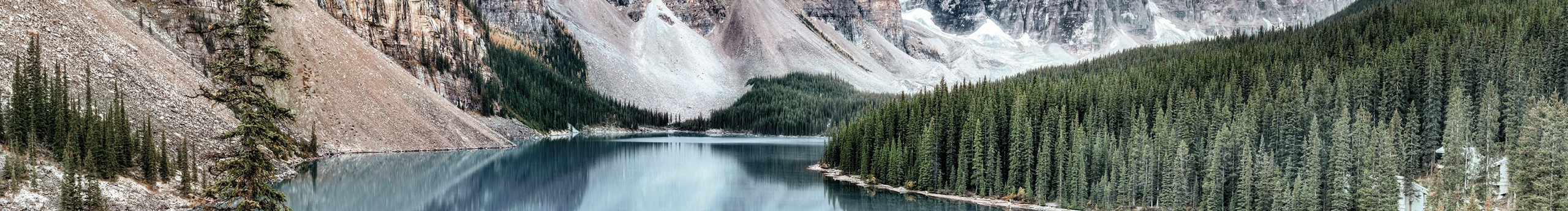 abanye的个人主页（封面预览） - 主页封面设置 - 站酷设计师abanye原创素材 - 站酷ZCOOL