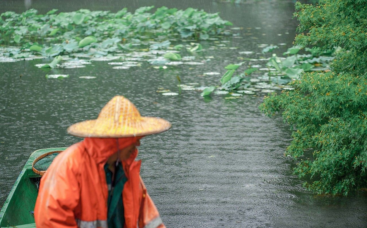 雨中荷塘（圖ZMzEwNDE3NjYw） - 人像攝影 - 站酷設(shè)計(jì)師心愿OVO原創(chuàng)素材 - 站酷ZCOOL