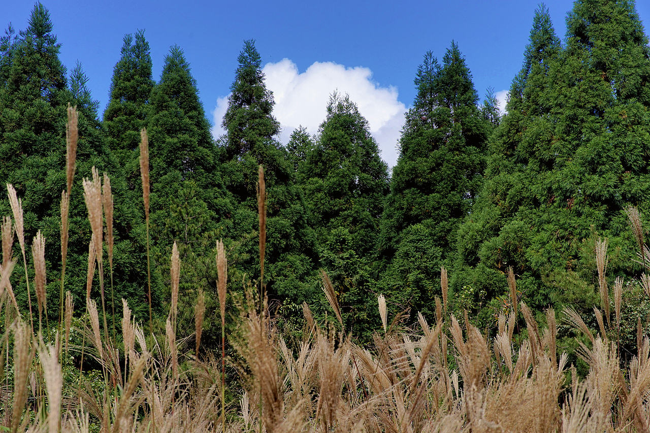 风光摄影系列2（图ZMzUyMDA3MTA4） - 风光摄影 - 站酷设计师莫潘原创素材 - 站酷ZCOOL