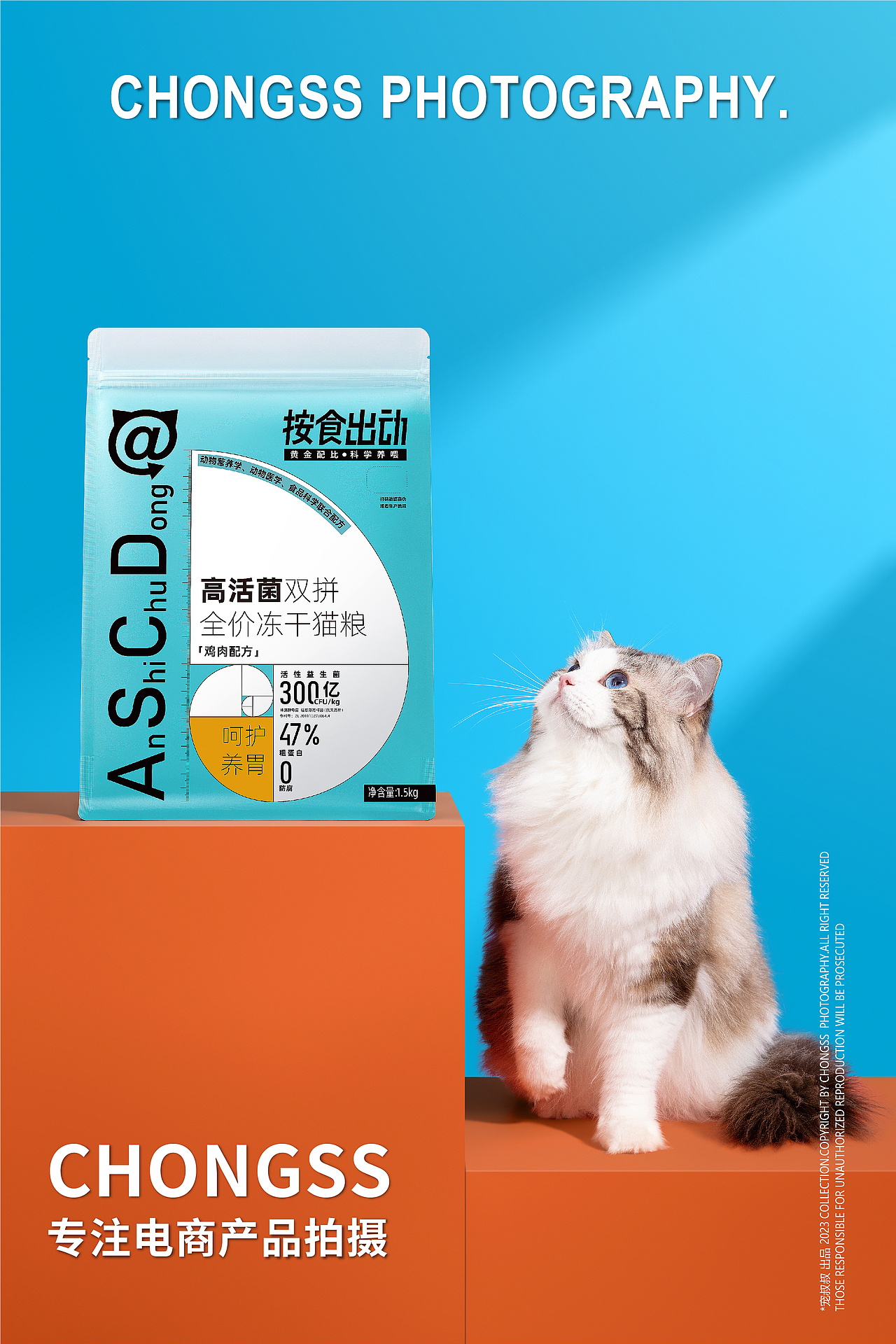 宠物产品摄影|宠叔叔  X  按食出动