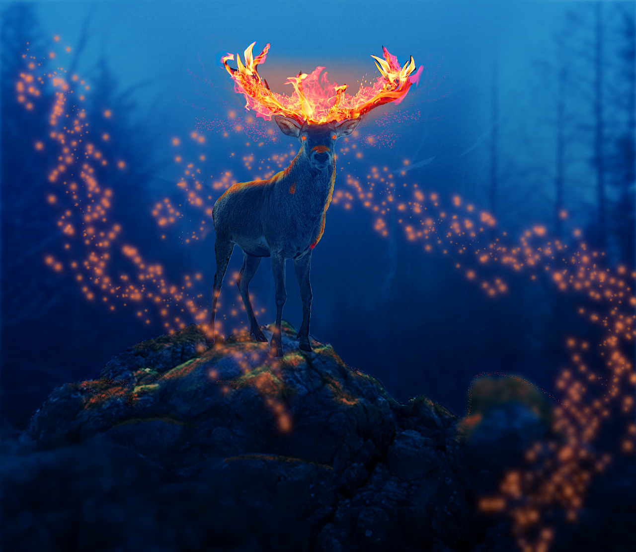 来自地狱的迷路鹿