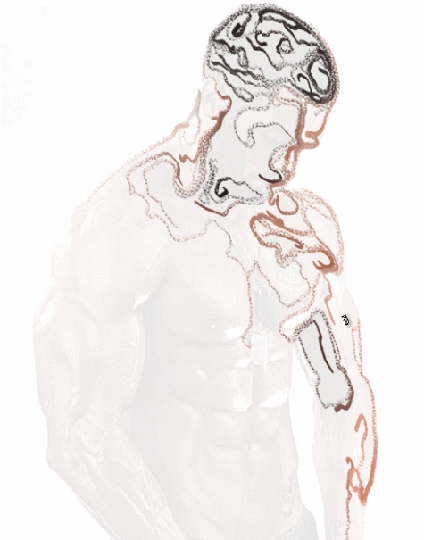 灵华西方画笔5.0（图ZNjU3MjgzNDg=） - 其他 - 站酷设计师解构自己原创素材 - 站酷ZCOOL