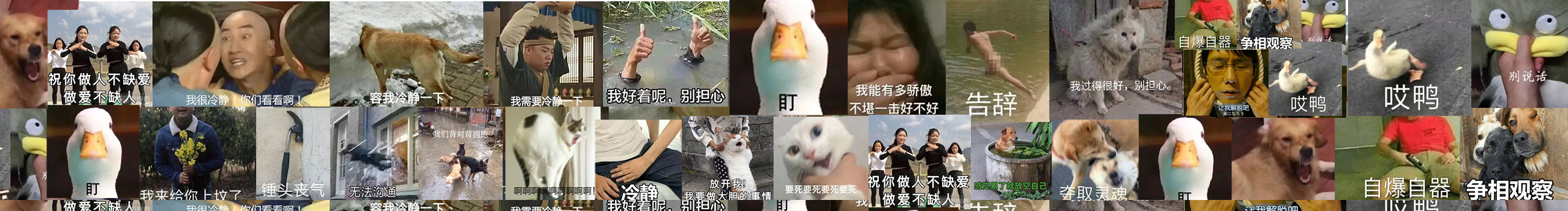 小野妹子天天作的个人主页（封面预览） - 主页封面设置 - 站酷设计师小野妹子天天作原创素材 - 站酷ZCOOL