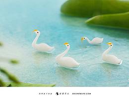 摄影