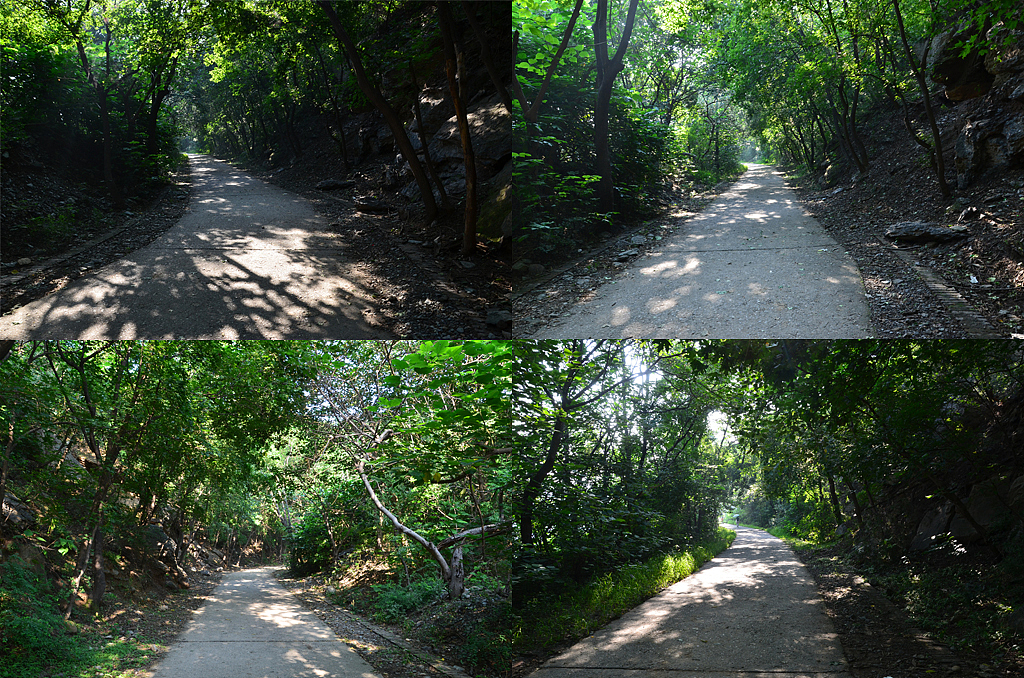 绿荫路（图ZMTEwNDg1NDA=） - 风光摄影 - 站酷设计师中国小武原创素材 - 站酷ZCOOL