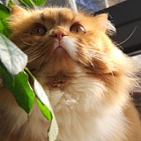 香喷喷大王的头像