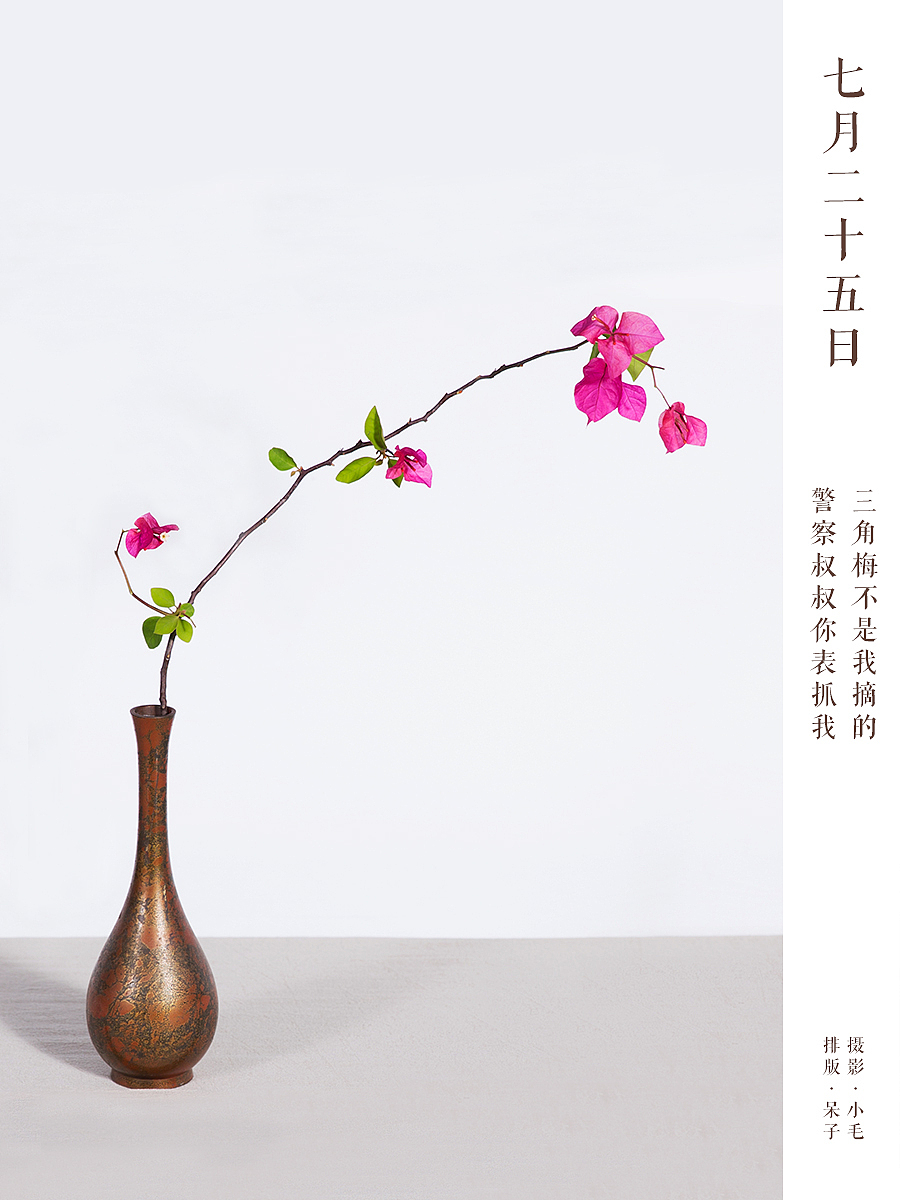 三角梅花瓶摄影平面设计海报（图ZMzE1MDU3ODg=） - 海报 - 站酷设计师阿呆不呆原创素材 - 站酷ZCOOL