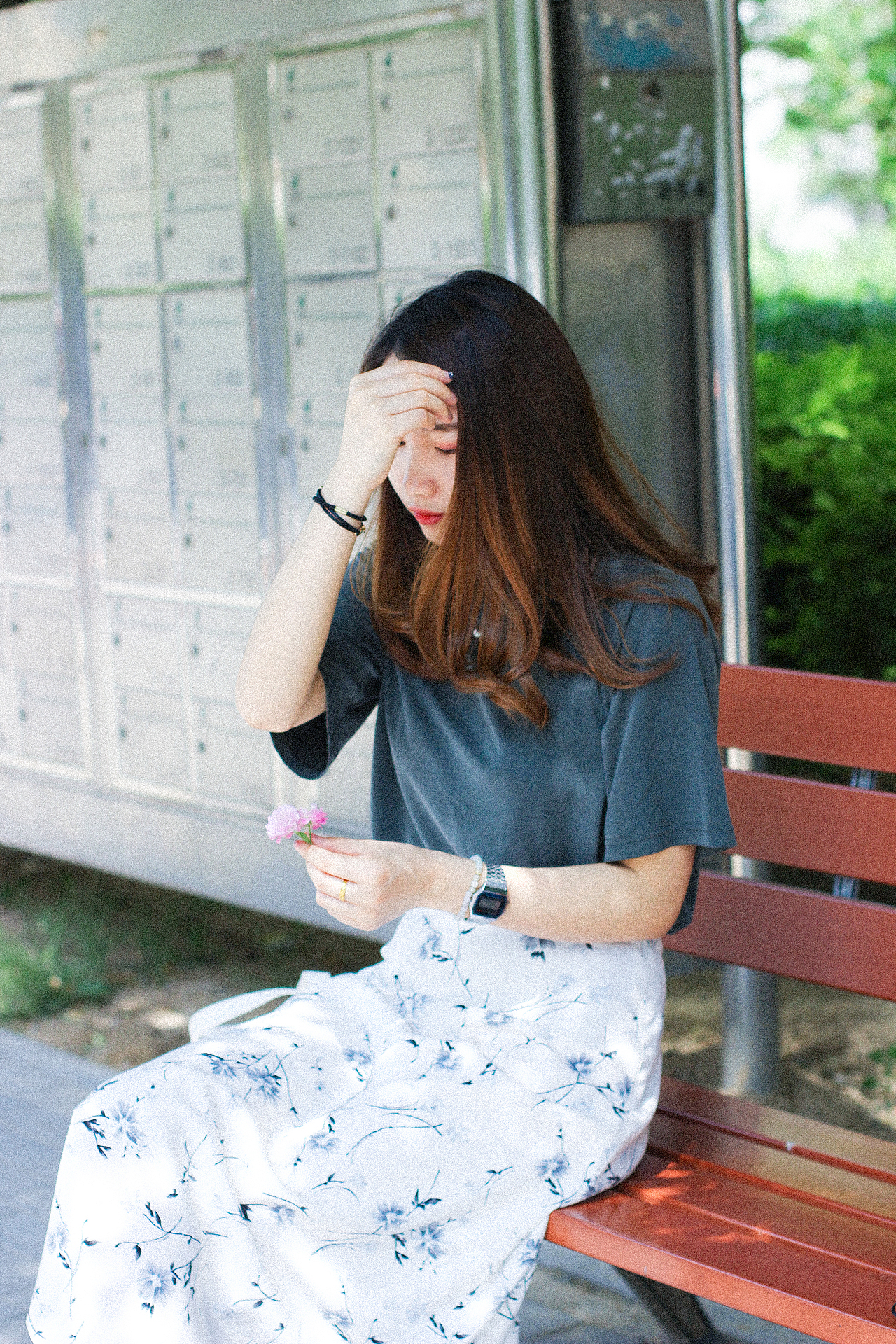 2018年5月份北京的蔷薇花和少女花花。