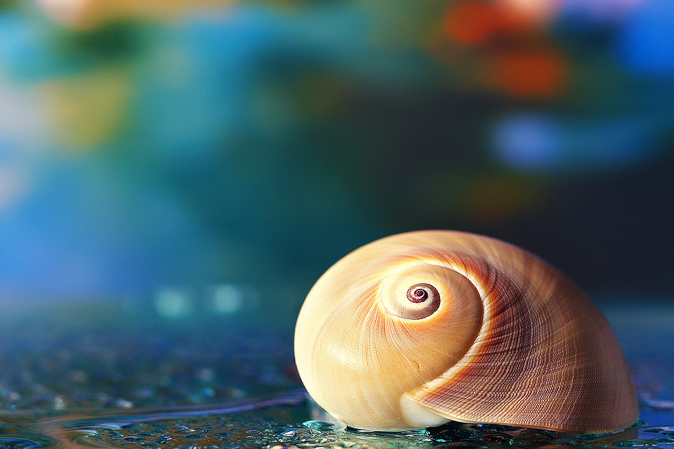 为自己的摄影(九)