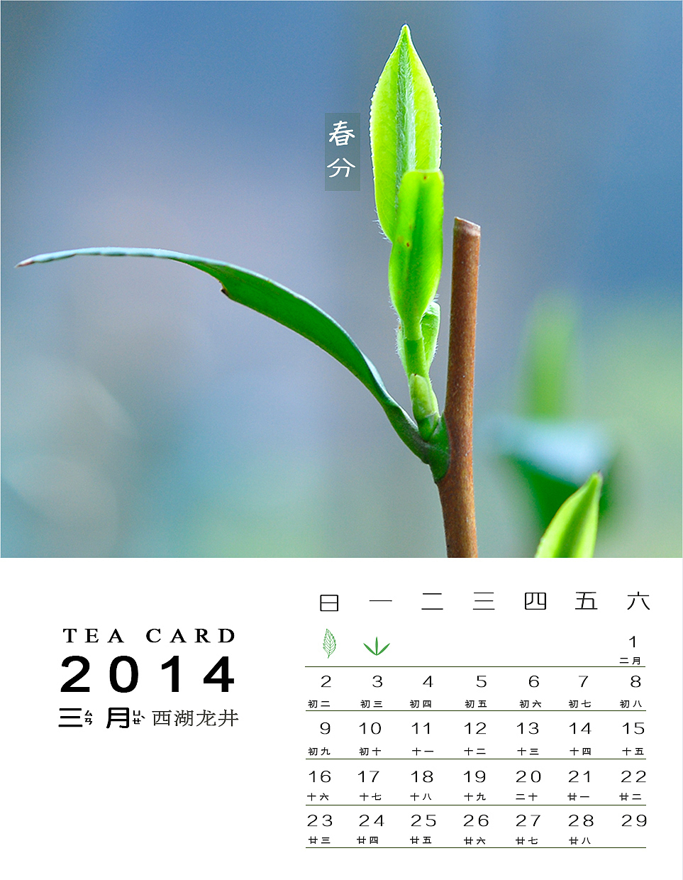 二十四节气插画茶台历