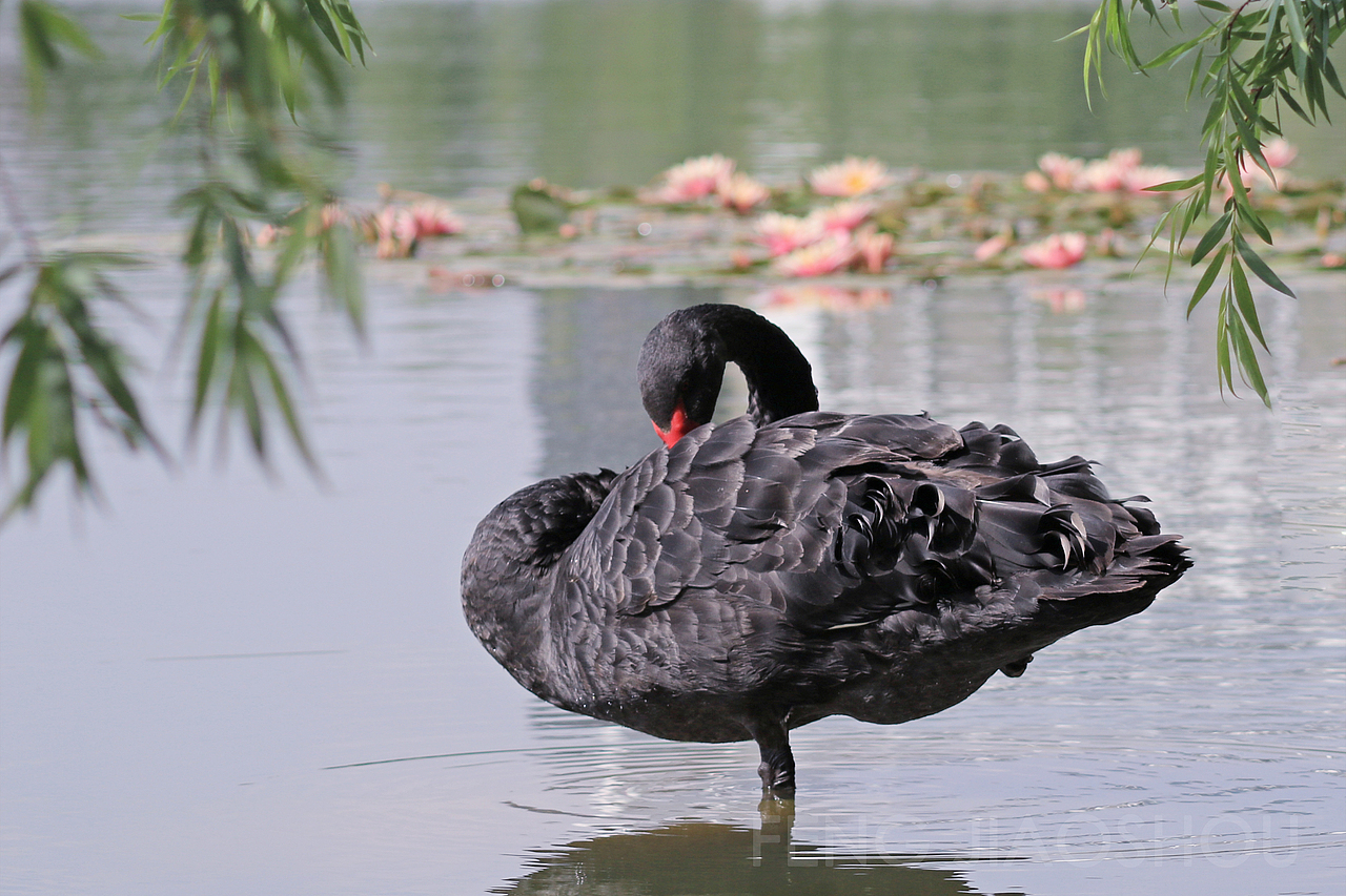 校園隨拍（圖ZOTM1MzYxMTI=） - 風(fēng)光攝影 - 站酷設(shè)計(jì)師瘋叫獸原創(chuàng)素材 - 站酷ZCOOL