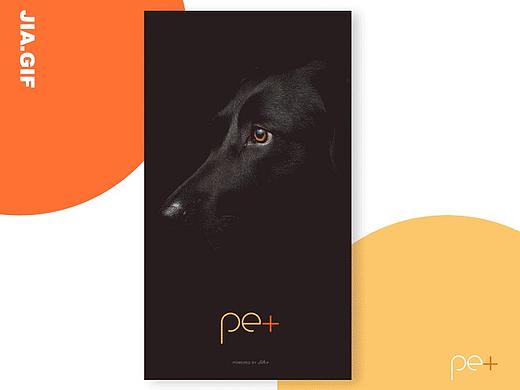 App Pet+