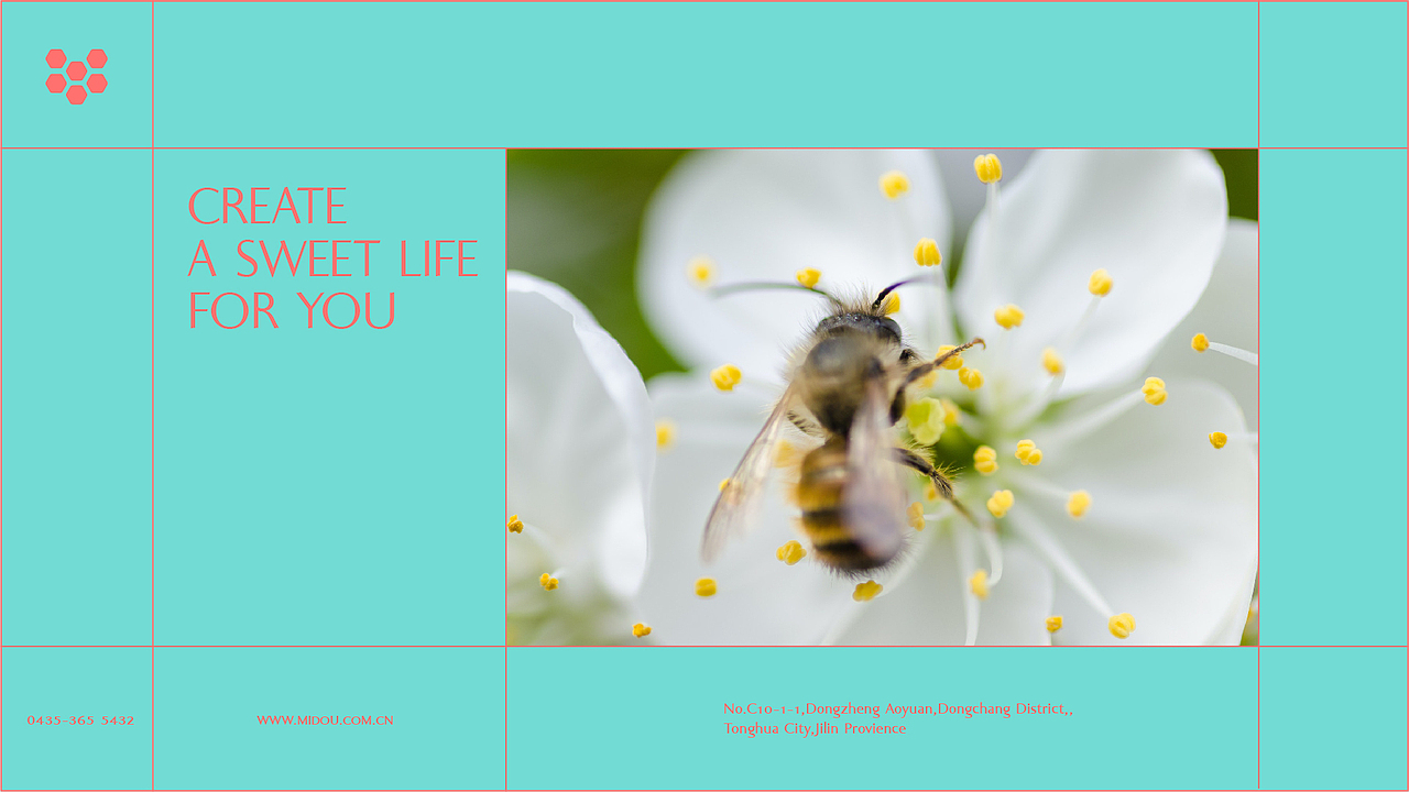 蜜兜 | 品牌设计