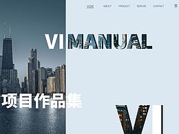 VIS