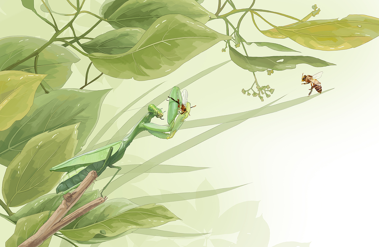 《法布尔昆虫记-阳光下的圣甲虫》作品信息创作时间2021/02/12收录