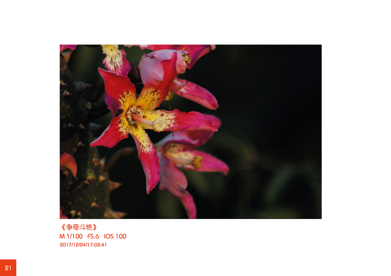 摄影课作业集（图ZMzE0Njg4NzA0） - 风光摄影 - 站酷设计师Maxyang1900原创素材 - 站酷ZCOOL