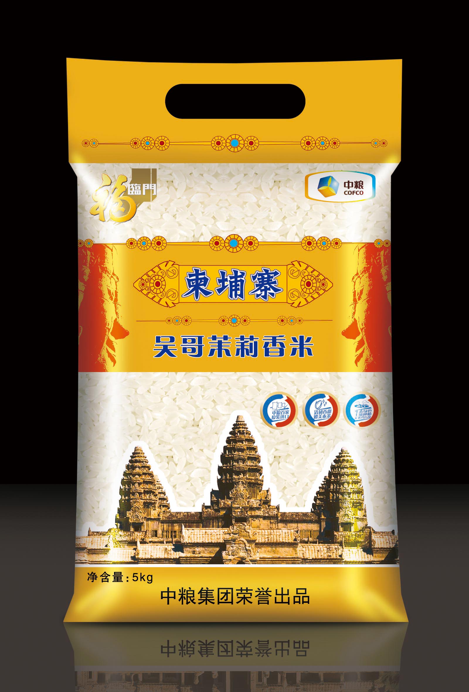 柬埔寨签证怎么填写 柬埔寨保险牌照申请表