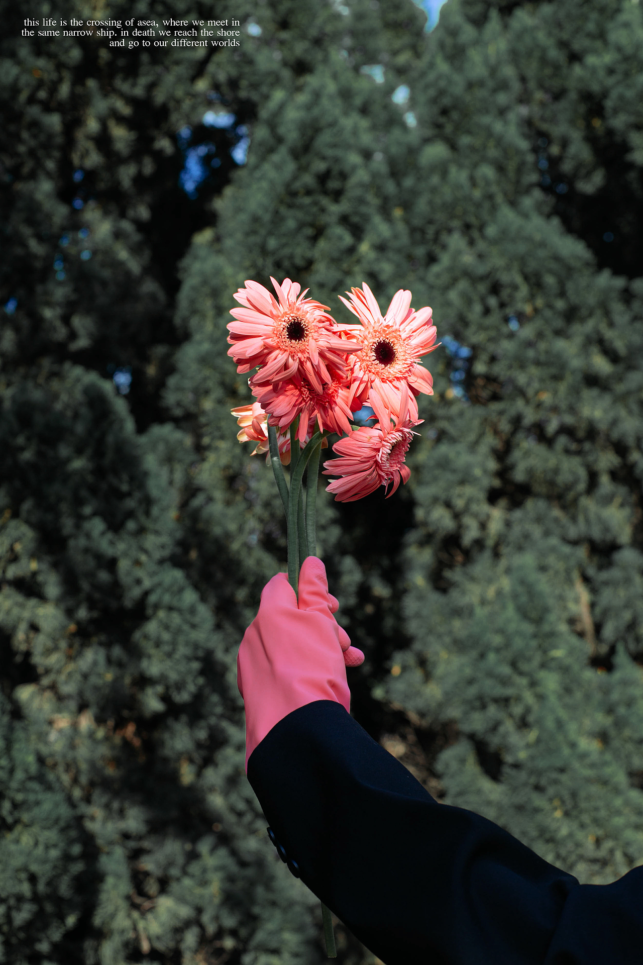 一次久违的拍摄（图ZMjM3Nzc1ODA0） - 人像摄影 - 站酷设计师JILSAND_LIN原创素材 - 站酷ZCOOL