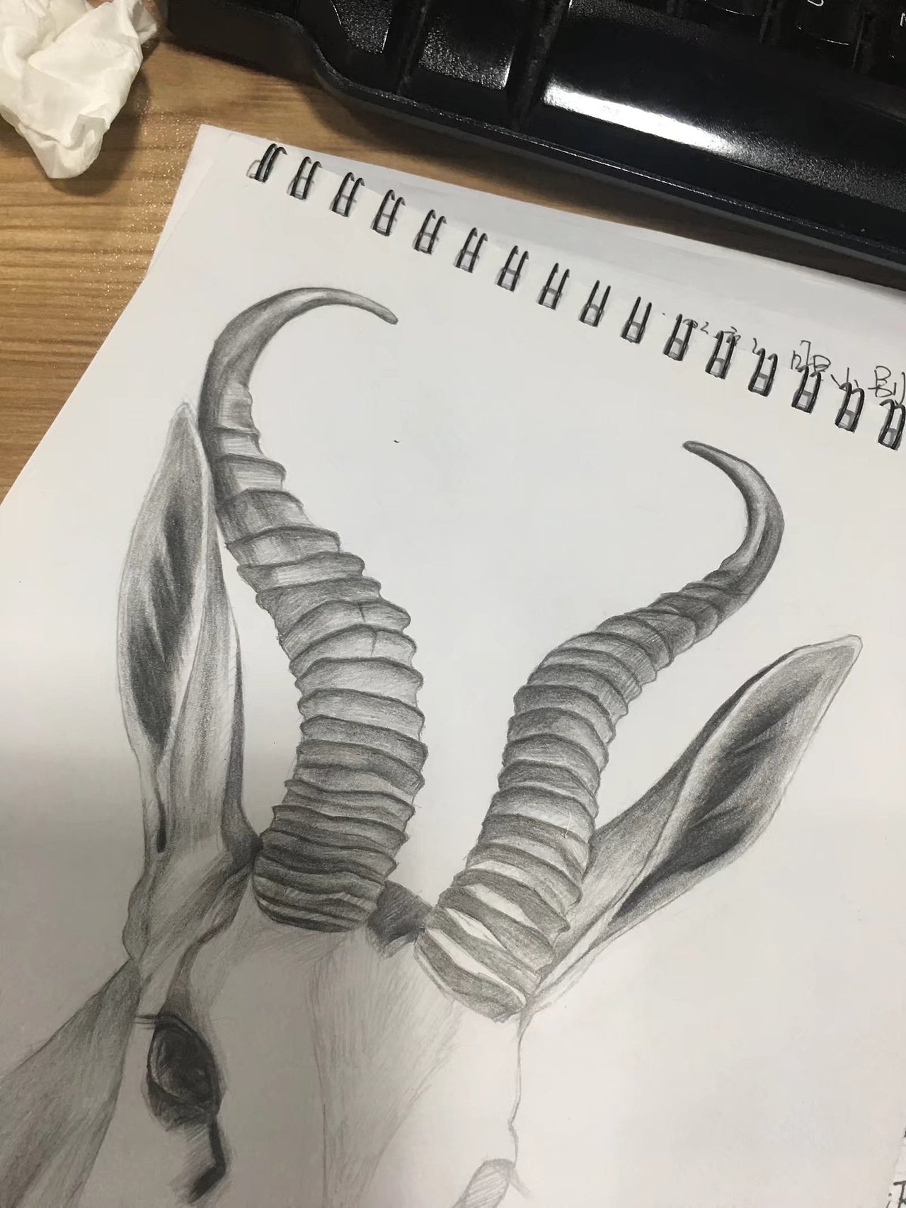 素描练习(跳羚)