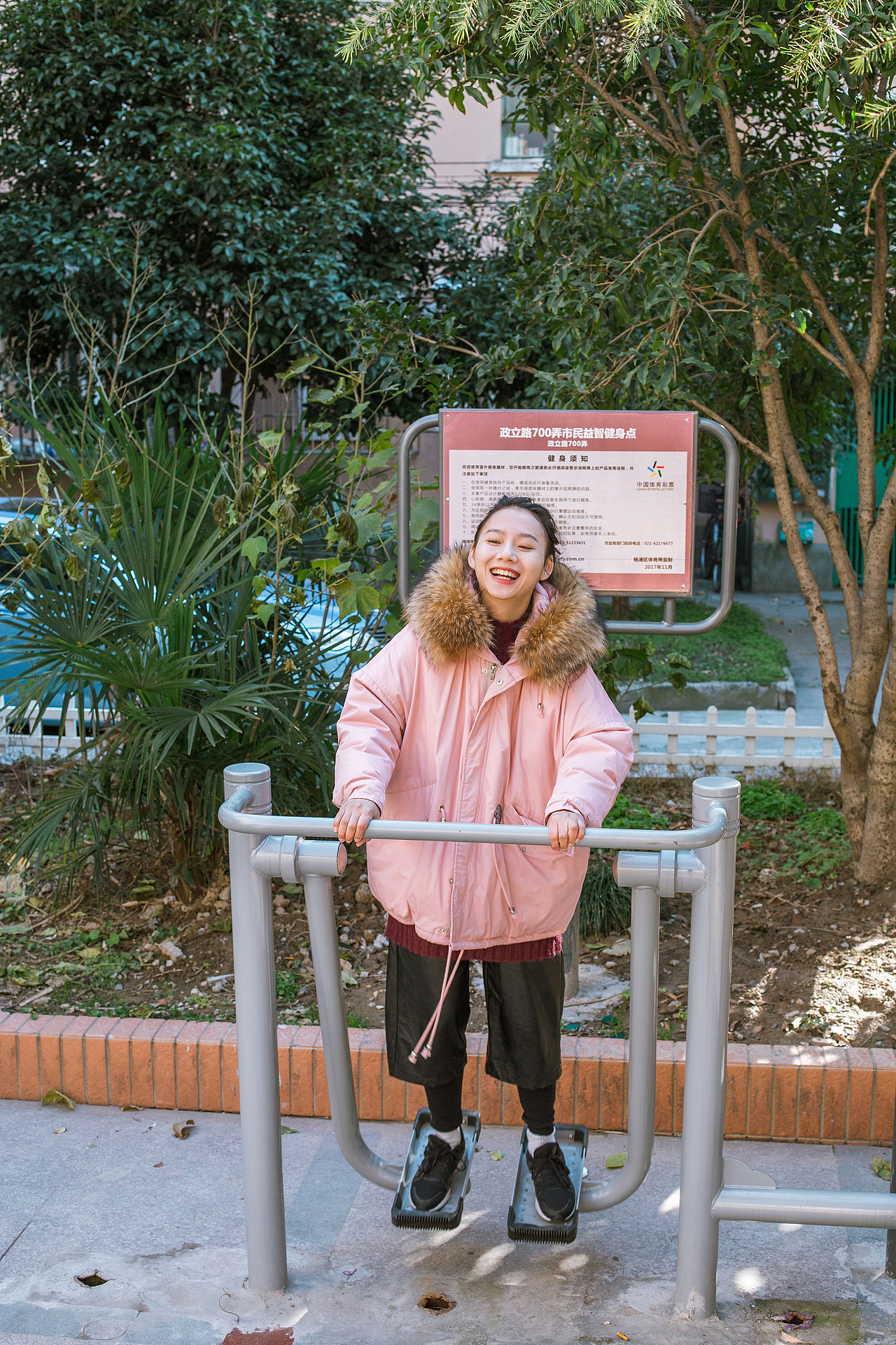 猫咪和狗狗以及小朋友都是人类的朋友