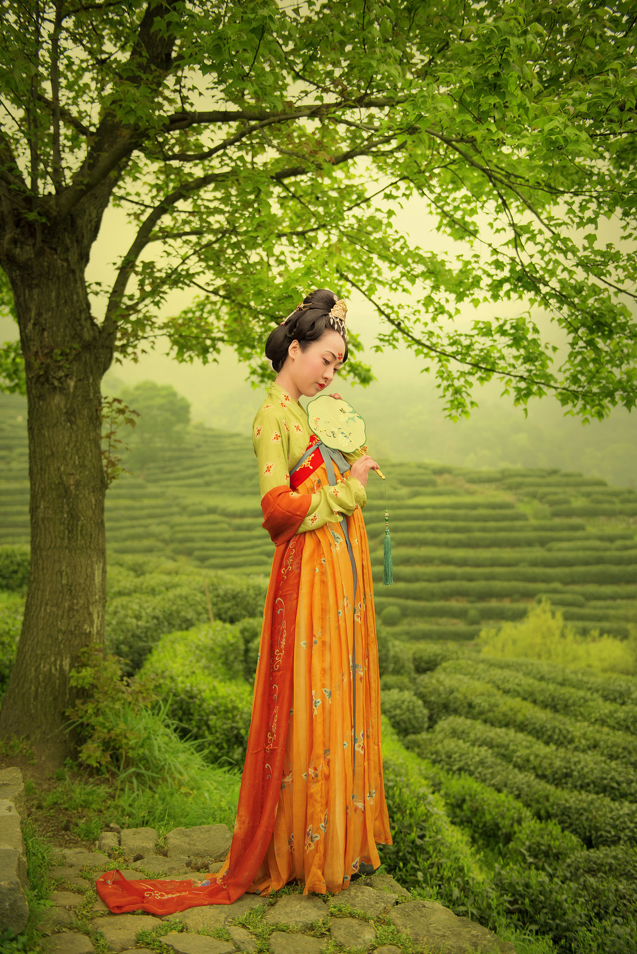 二十四节气——谷雨