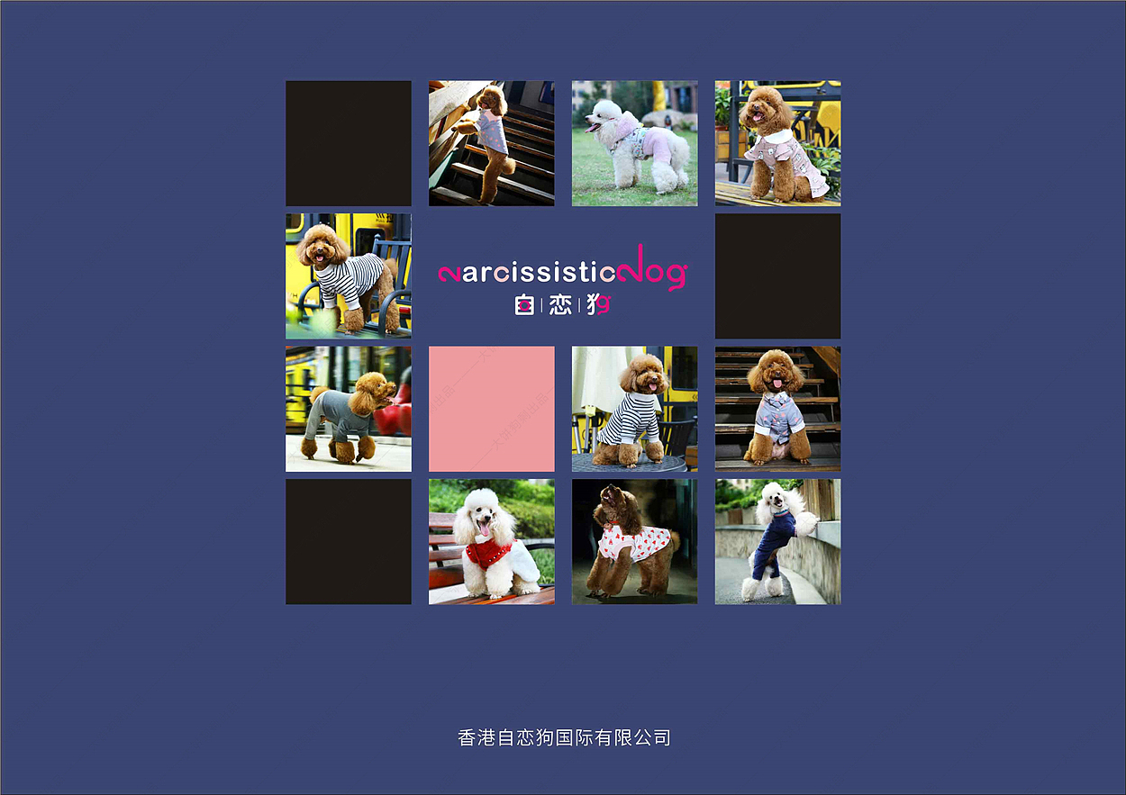 宠物服装产品 服装类宣传册排版