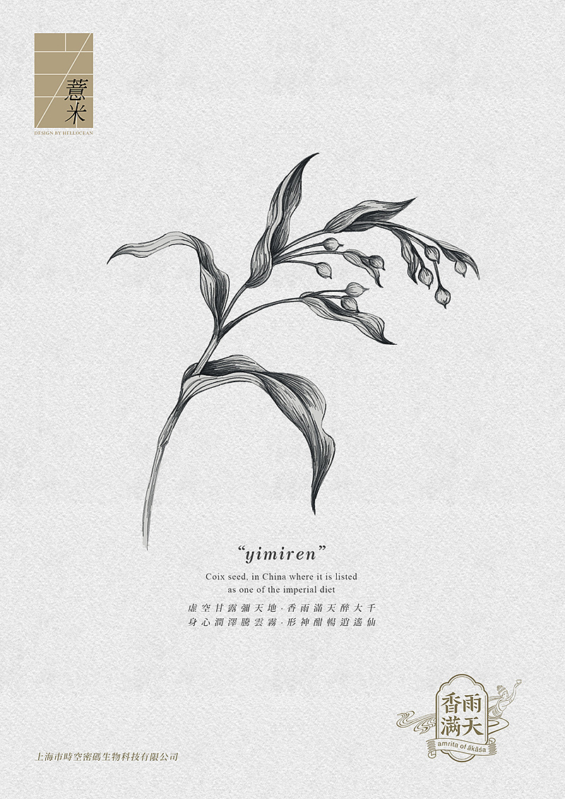 《香雨满天》保健茶品牌包装设计