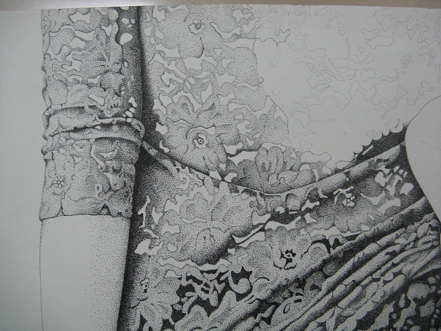 楚歌钢笔画-魅影(点画)55*40cm(图ZMTg5NTY2NzI=) - 绘画 - 站酷设计师楚歌76原创素材 - 站酷ZCOOL