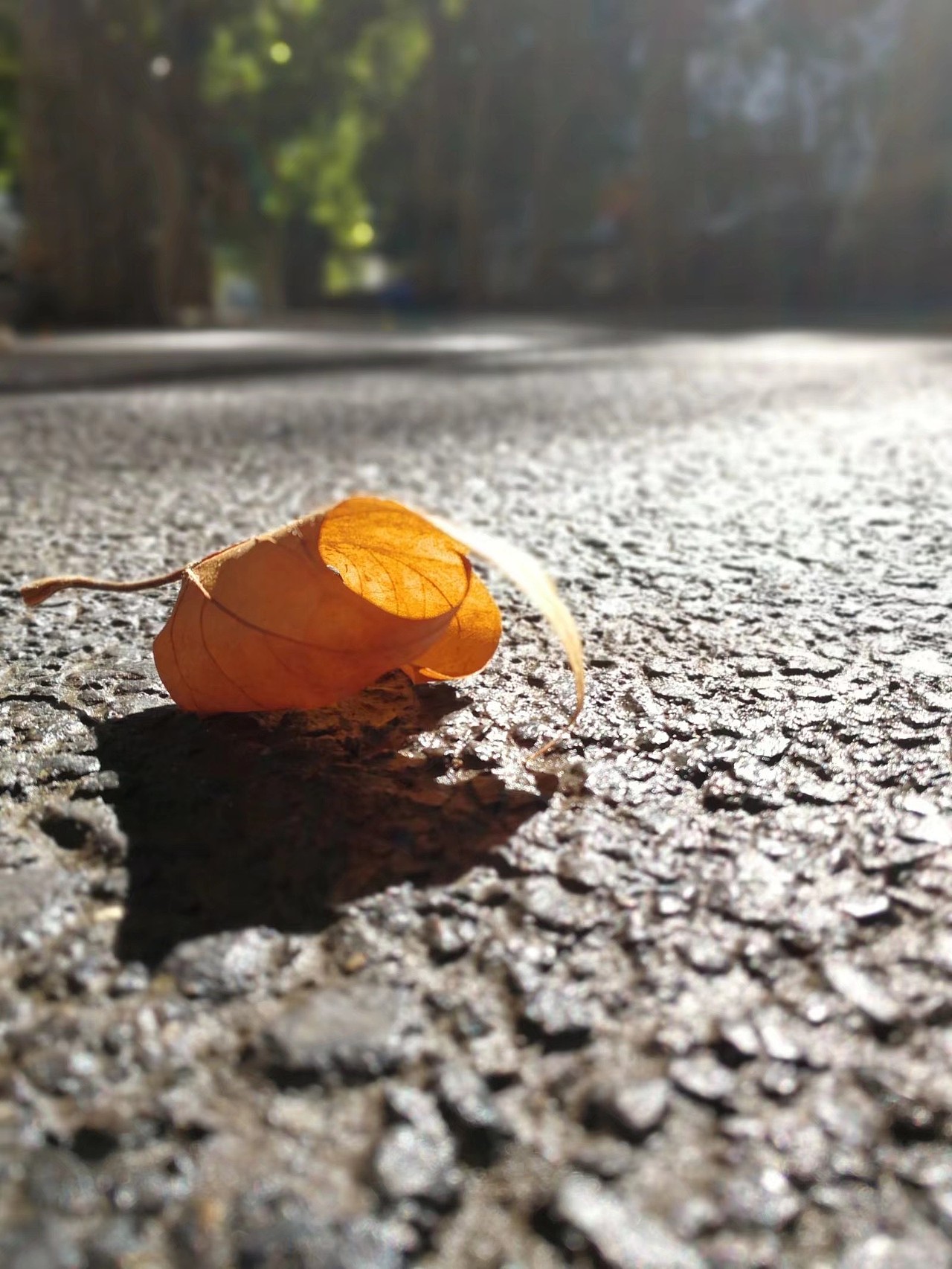 手机摄影（图ZMjE4MzA0MzQ4） - 其他摄影 - 站酷设计师z0701原创素材 - 站酷ZCOOL