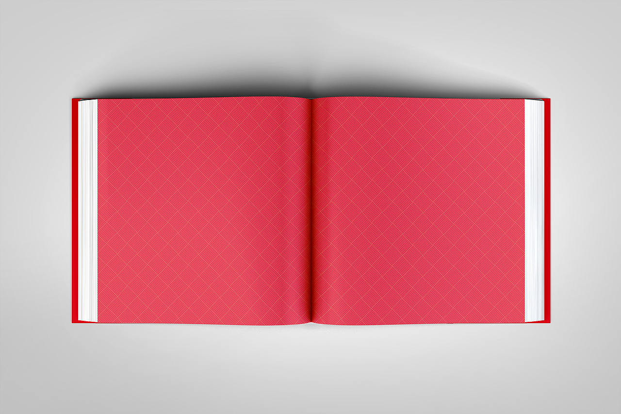 多彩集团/画册设计