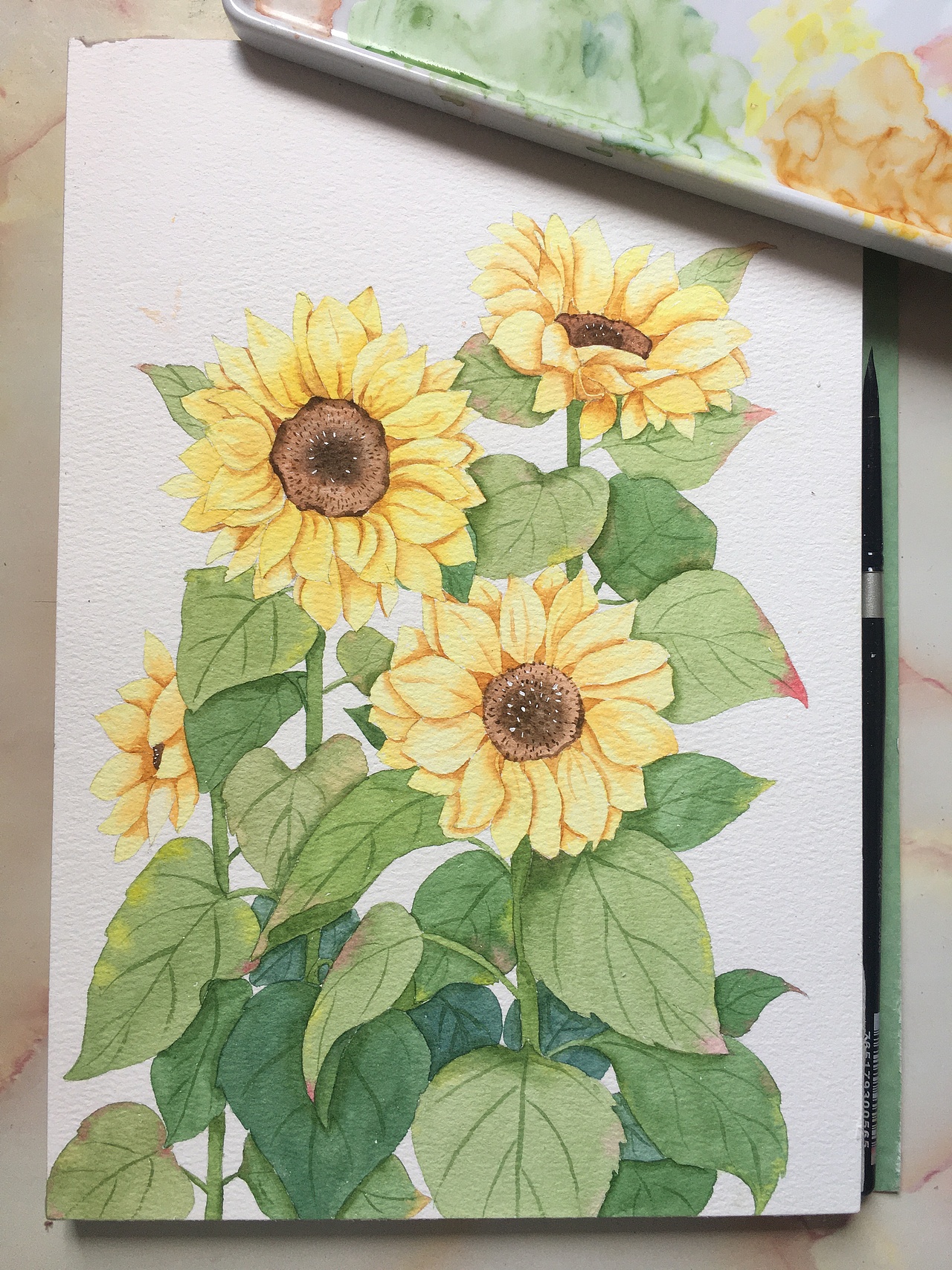 水彩花卉合集（图ZMzE3NjQzMjA0） - 商业插画 - 站酷设计师Z67631737原创素材 - 站酷ZCOOL