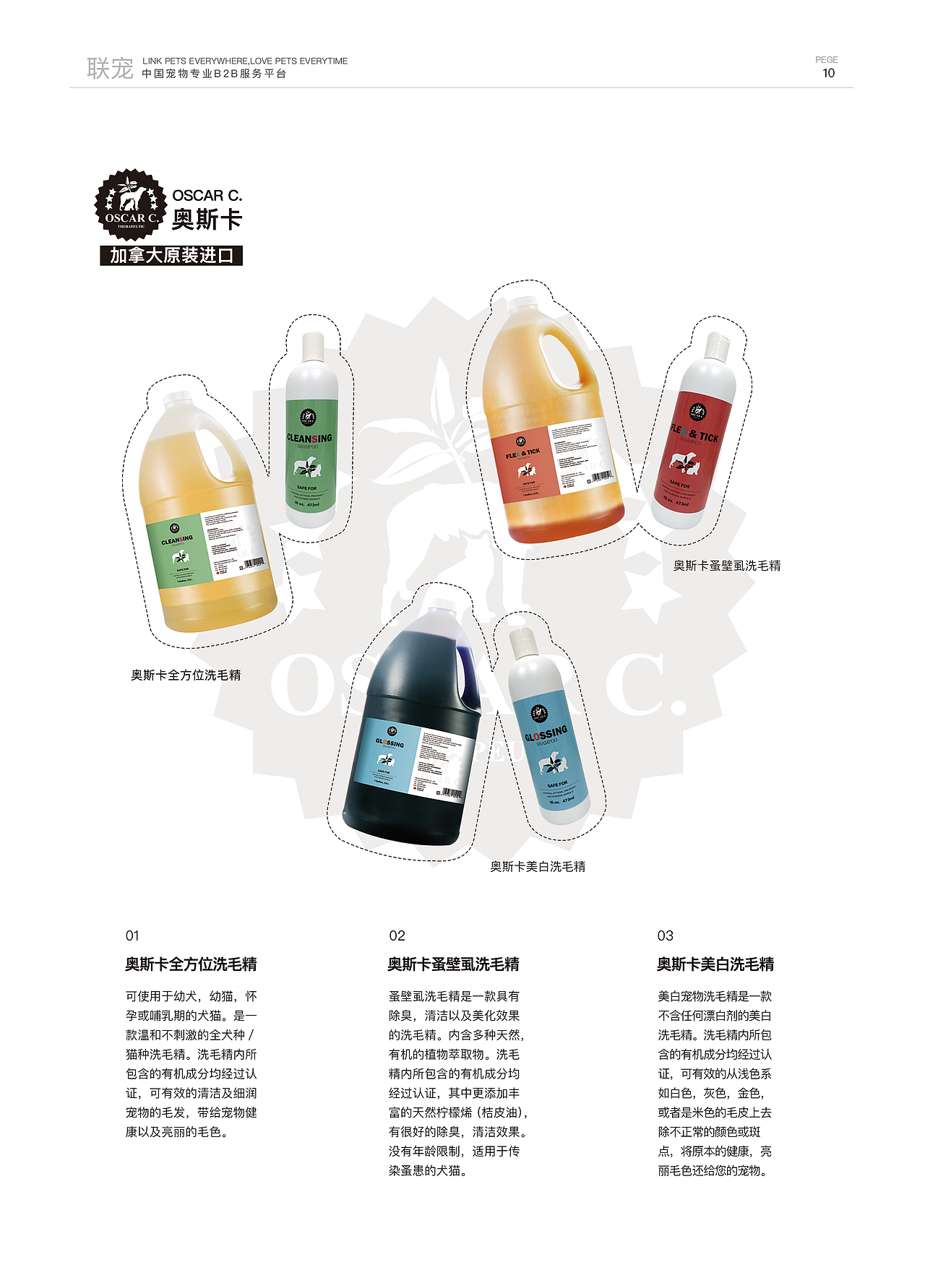 画册/杂志(正本)