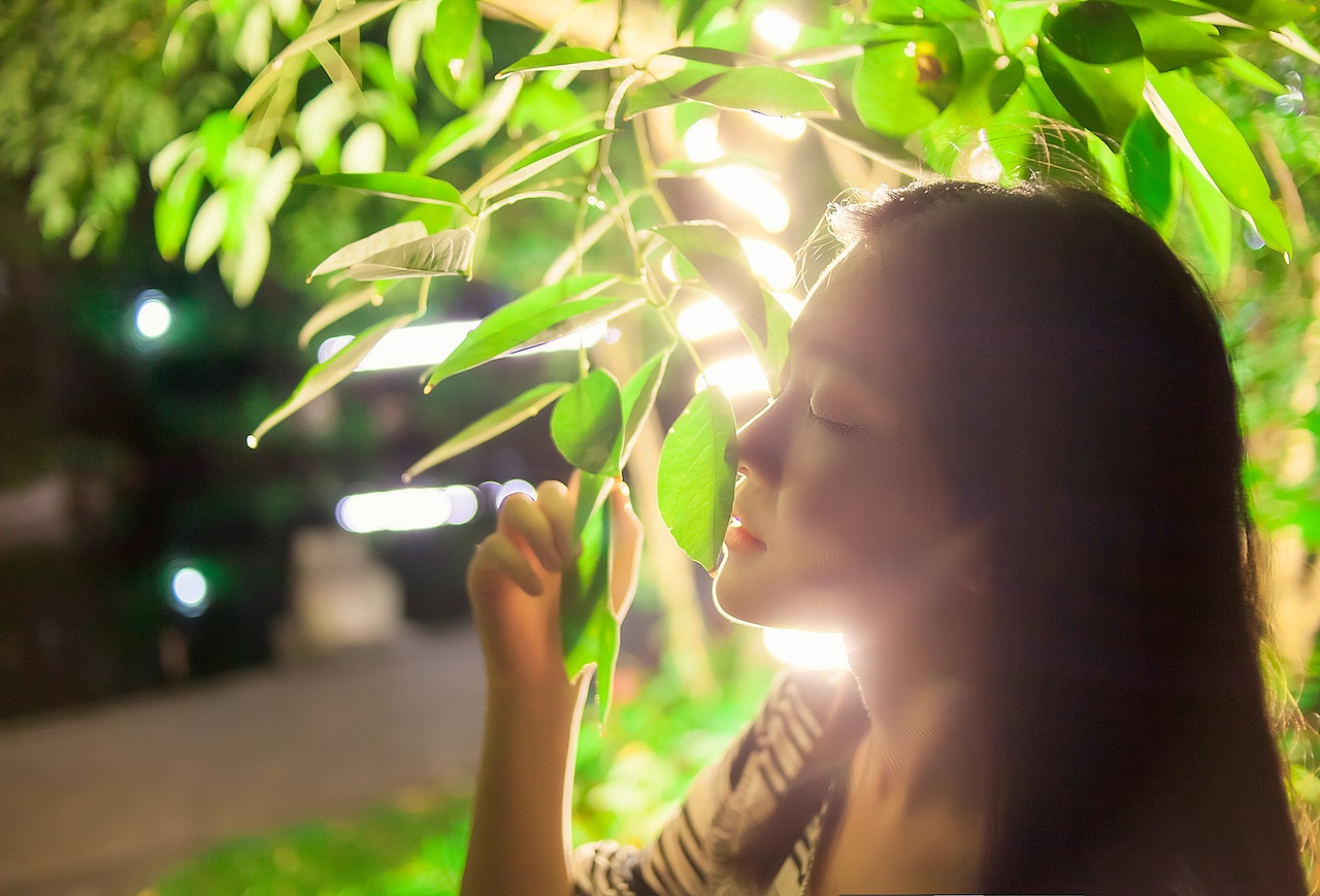 少女的仲夏夜之梦