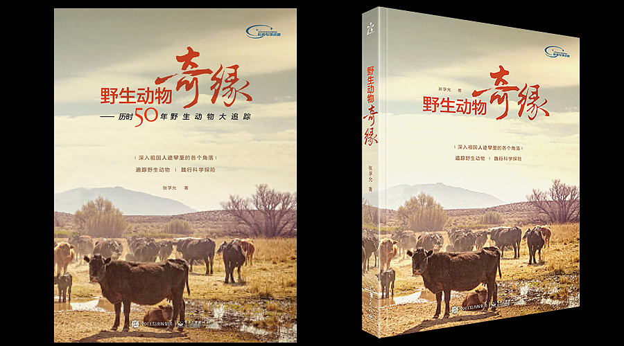 儿童、青少类书籍设计(图ZMzg4MjgwNjg=) - 书籍/画册 - 站酷设计师点石坊原创素材 - 站酷ZCOOL