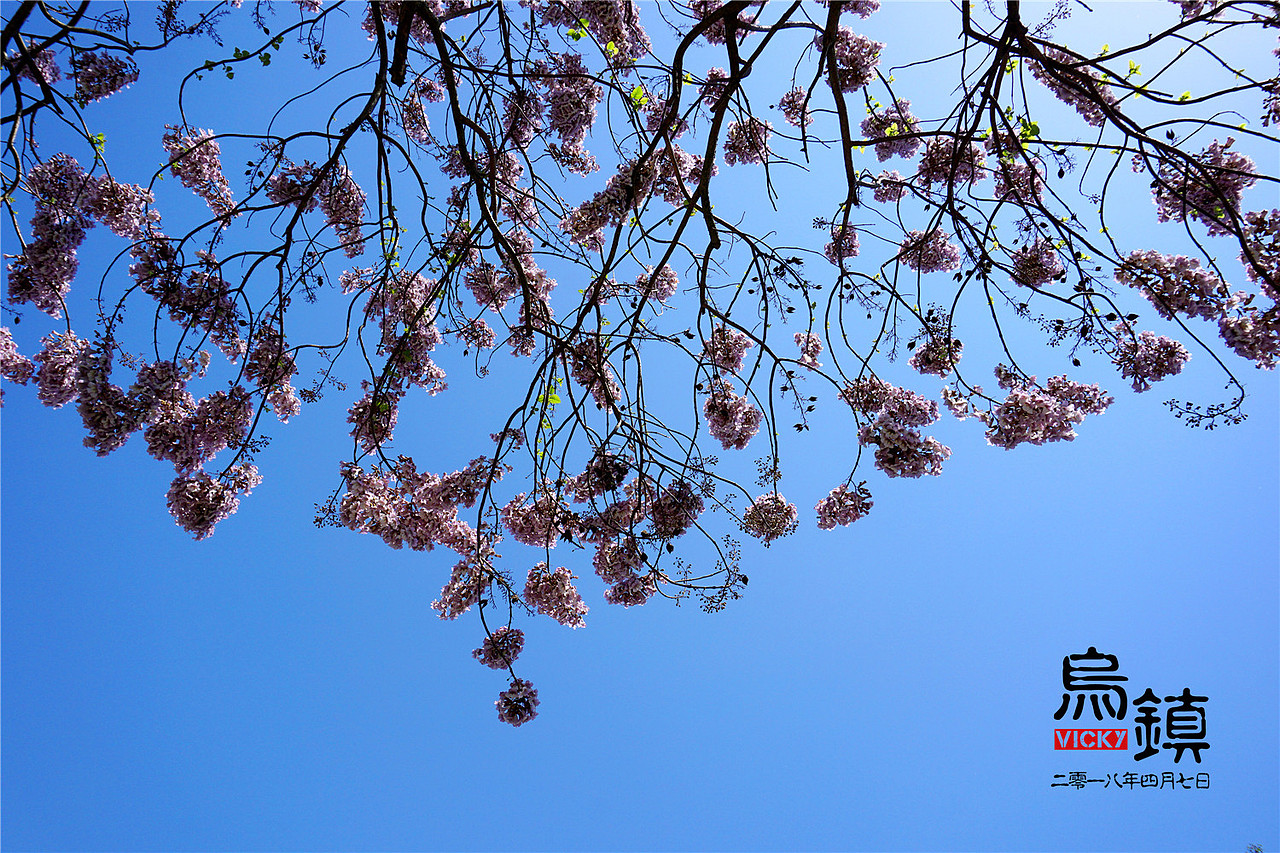 浙江-乌镇(江南乌镇)