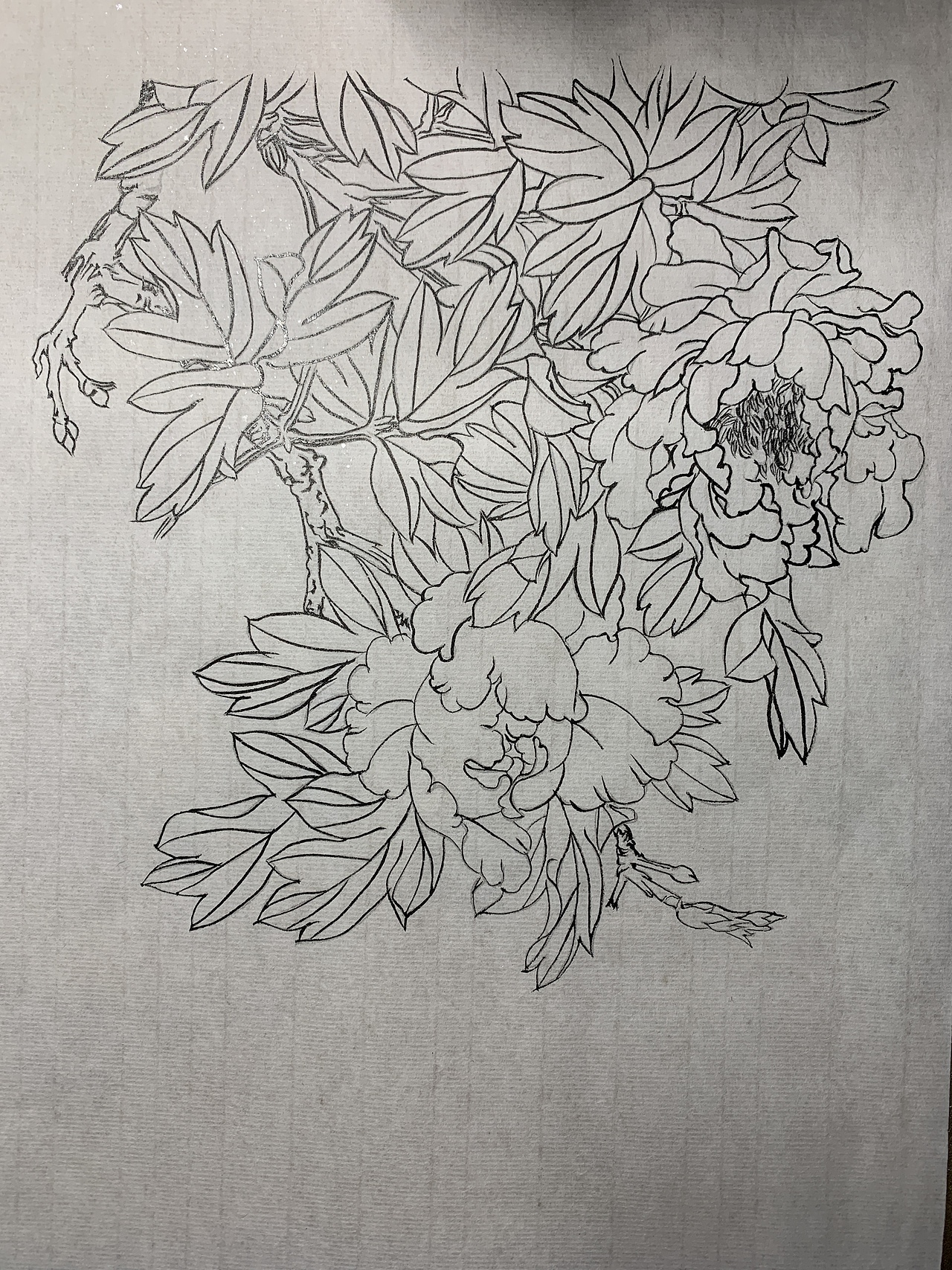 《蝶恋花》（图ZMjA3NzIwNjUy） - 绘画 - 站酷设计师Z52030647原创素材 - 站酷ZCOOL