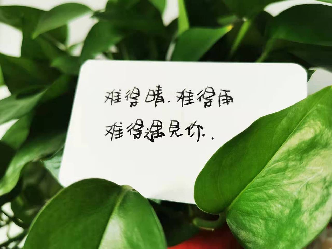 手写美术字-硬笔【6】