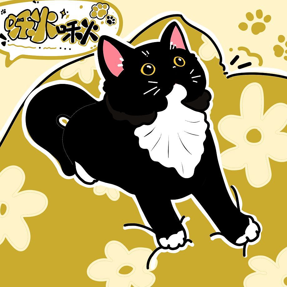 我有好多奶牛猫!!!