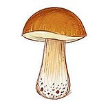 年年925的头像