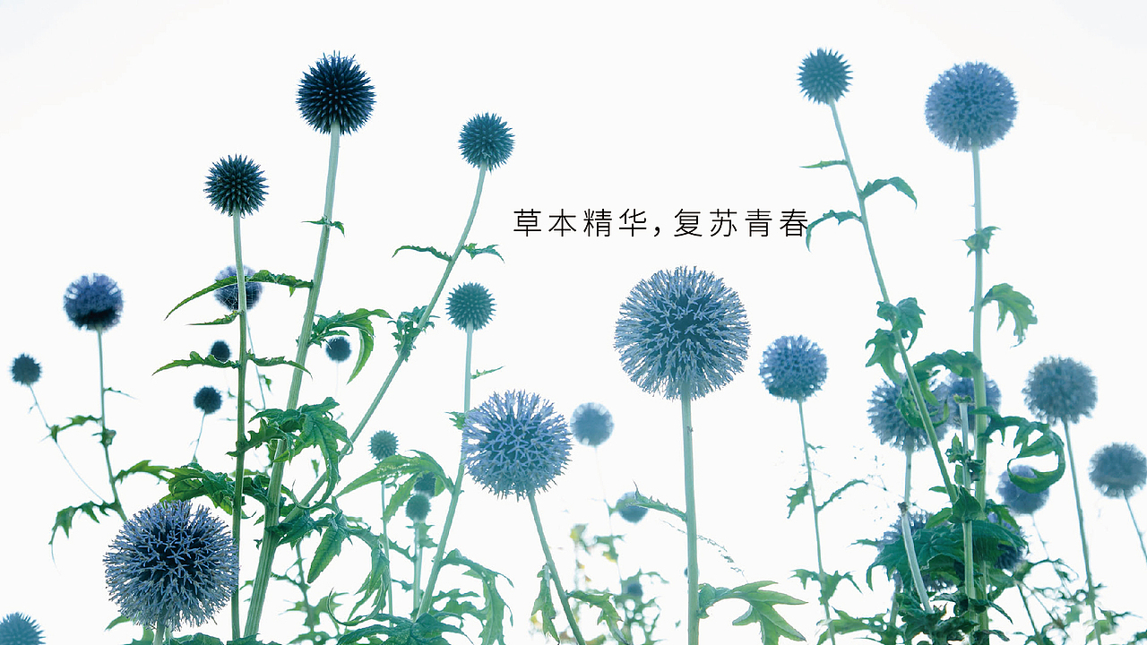 LOGO升级 化妆品LOGO 化妆品vi设计 化妆品包装设计(图ZMTI1NjUzNDYw) - Logo - 站酷设计师郑昌洪品牌vi包装原创素材 - 站酷ZCOOL