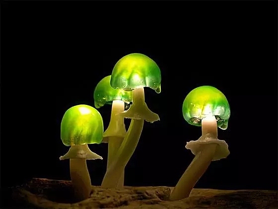 创意生活用品（图ZMTAzMDE3OTA4） - 其他手工艺 - 站酷设计师灵感君原创素材 - 站酷ZCOOL