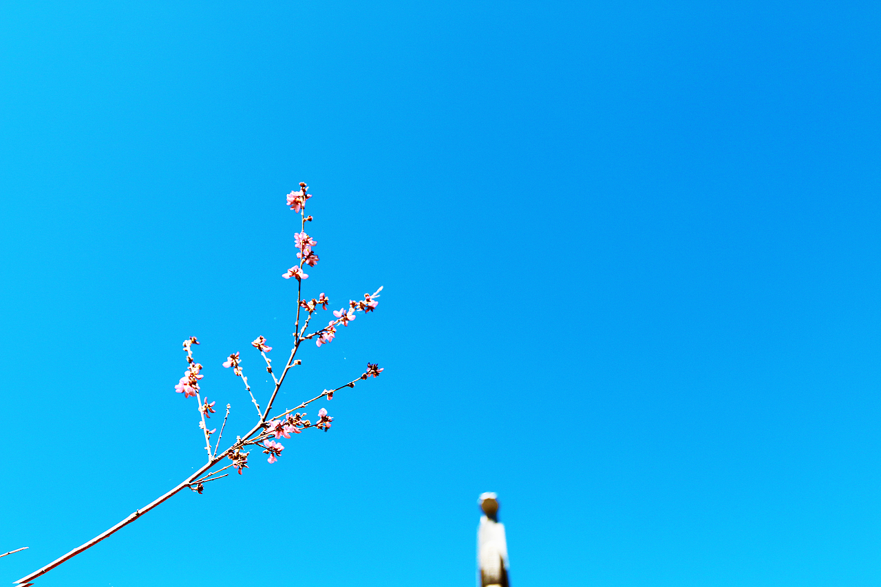 云南（图ZMTIxOTk2MDU2） - 风光摄影 - 站酷设计师Trina徐原创素材 - 站酷ZCOOL