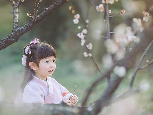 梅花落梦鱼