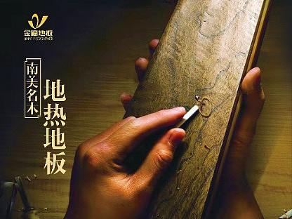金亿木地板海报