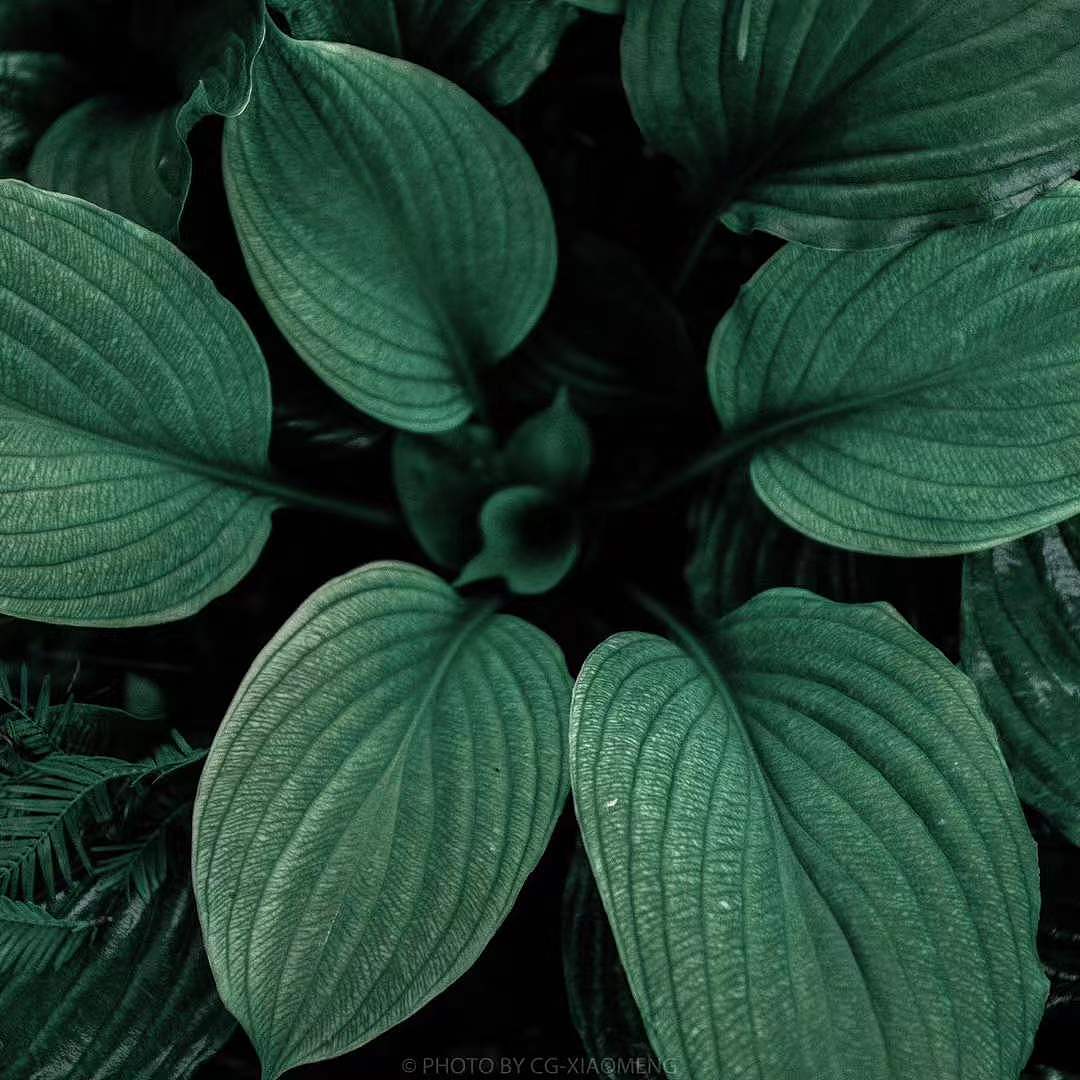 随拍·游赏（杭州亚运公园）（图ZMjg0NTk2MzE2） - 风光摄影 - 站酷设计师CG_小萌原创素材 - 站酷ZCOOL