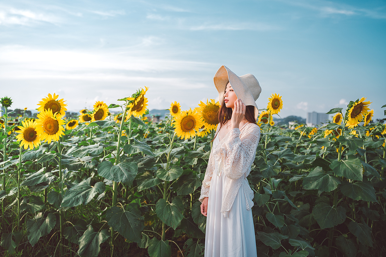 太阳有很多向日葵，可向日葵只有一个太阳