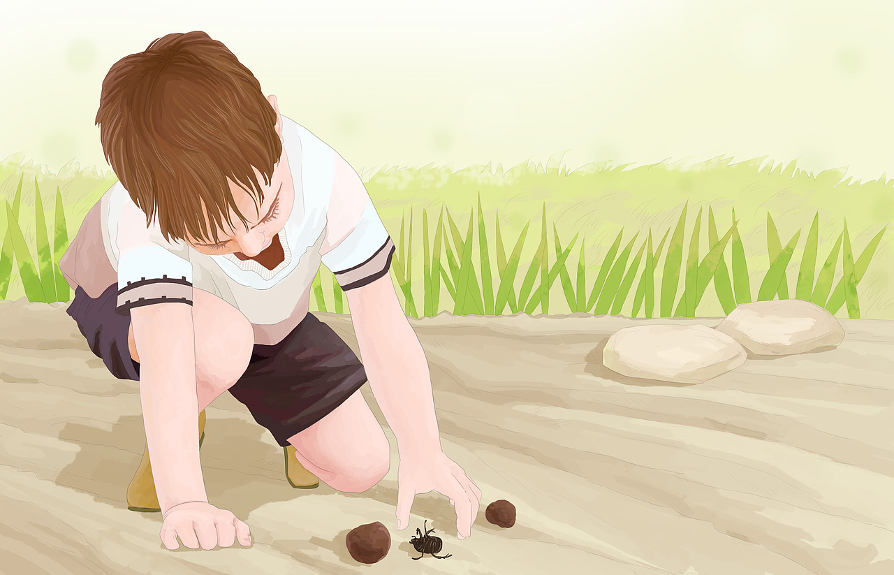 《法布尔昆虫记-阳光下的圣甲虫》|插画|绘本|sylink_原创作品-站酷(z