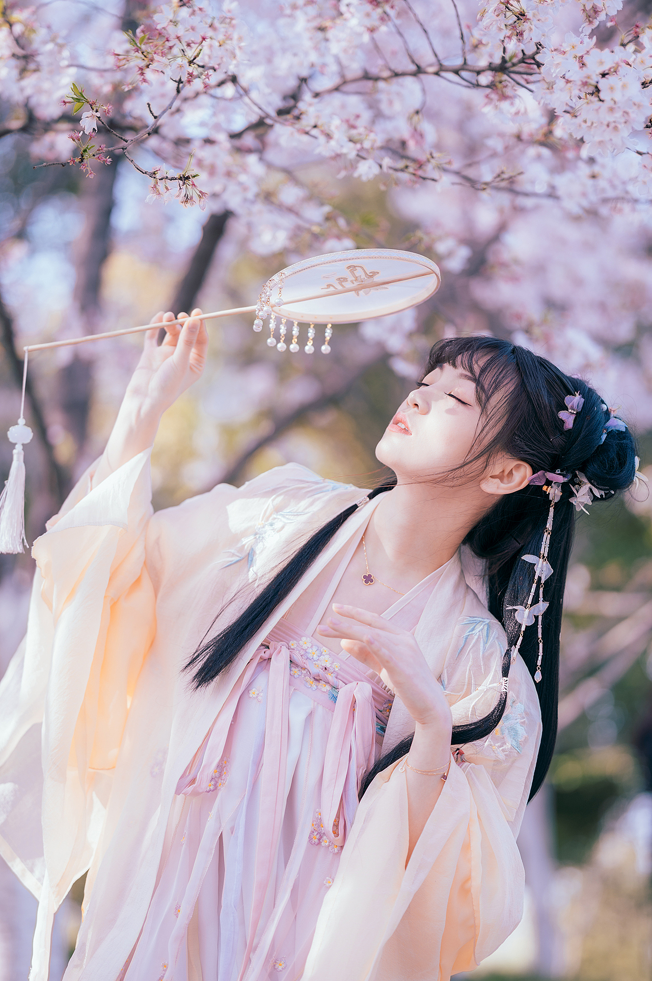 樱花落（图ZMjA0MzMxNjQ0） - 人像摄影 - 站酷设计师拍照的青山原创素材 - 站酷ZCOOL