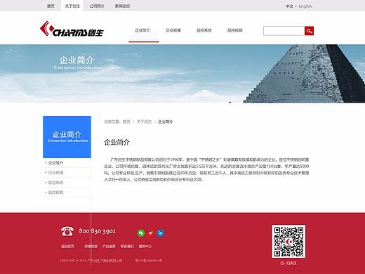 企业网站