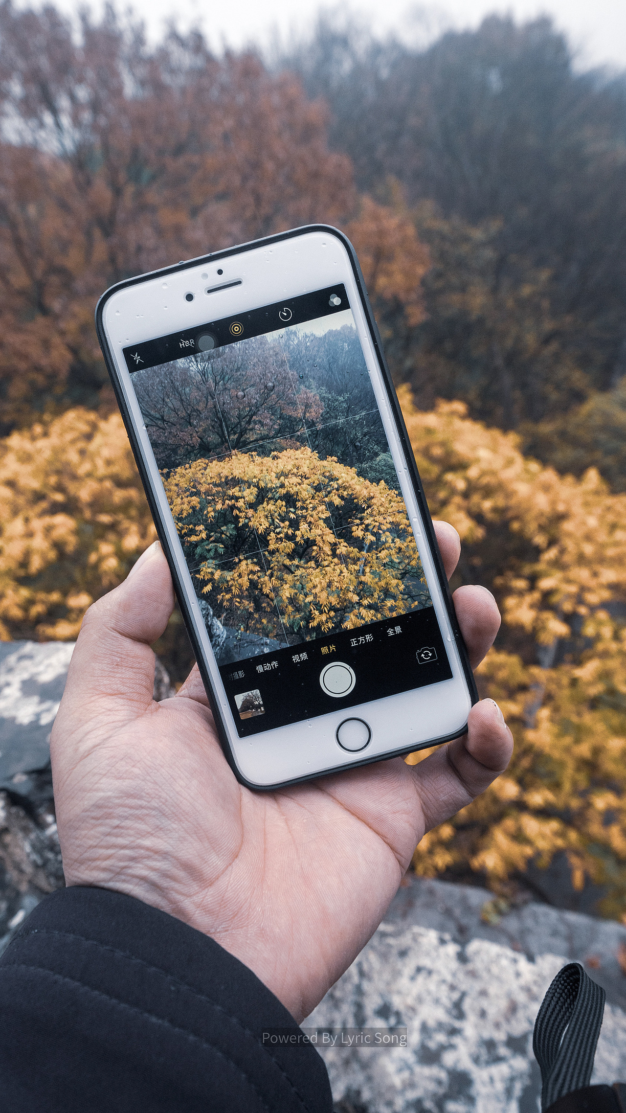 南京之行（图ZMTg4NzI5NTUy） - 风光摄影 - 站酷设计师摄影师大Q原创素材 - 站酷ZCOOL